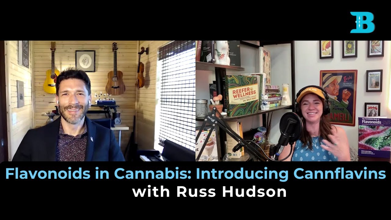 Flavonoids in Cannabis: Introducing Cannflavins