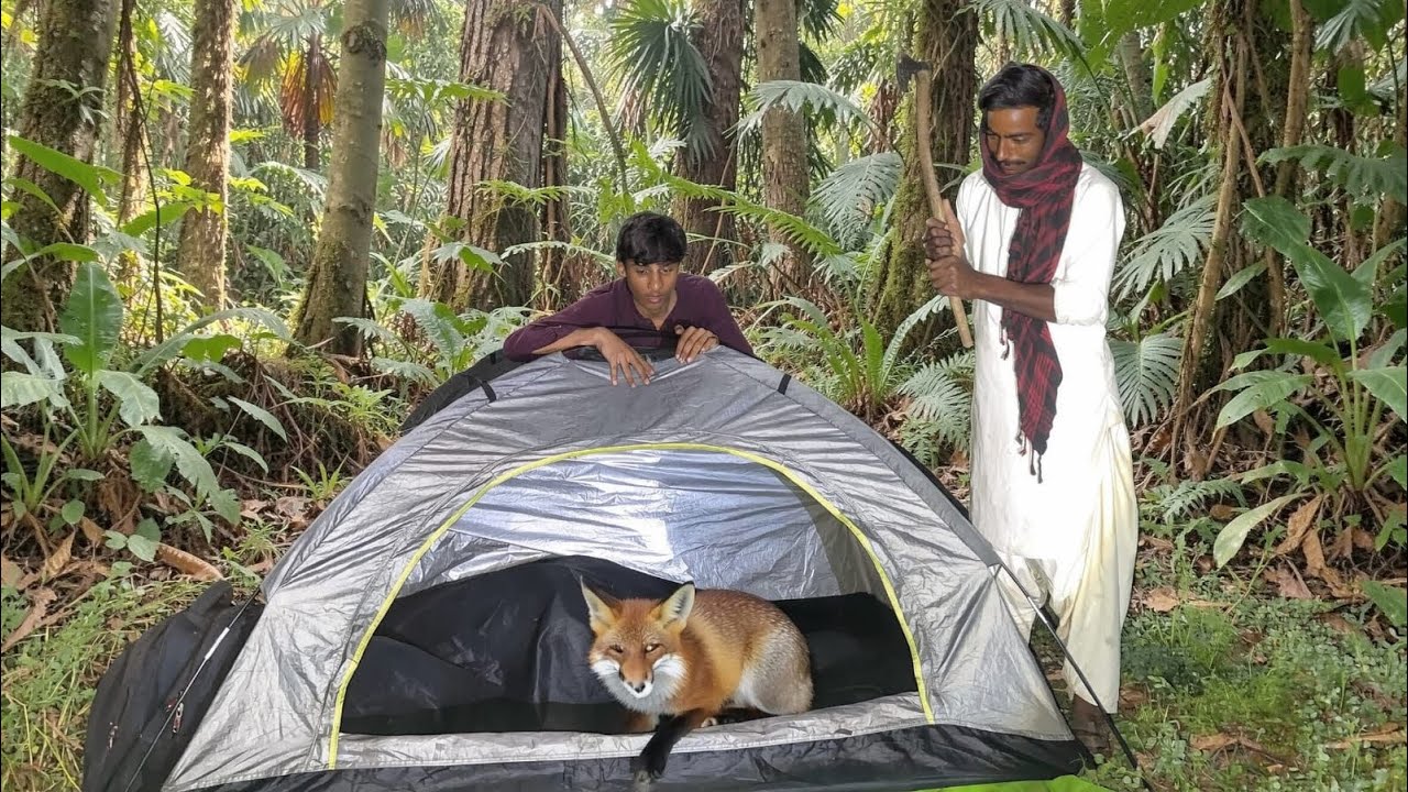 Terrifying Night Camping | Fox Invaded Our Tent