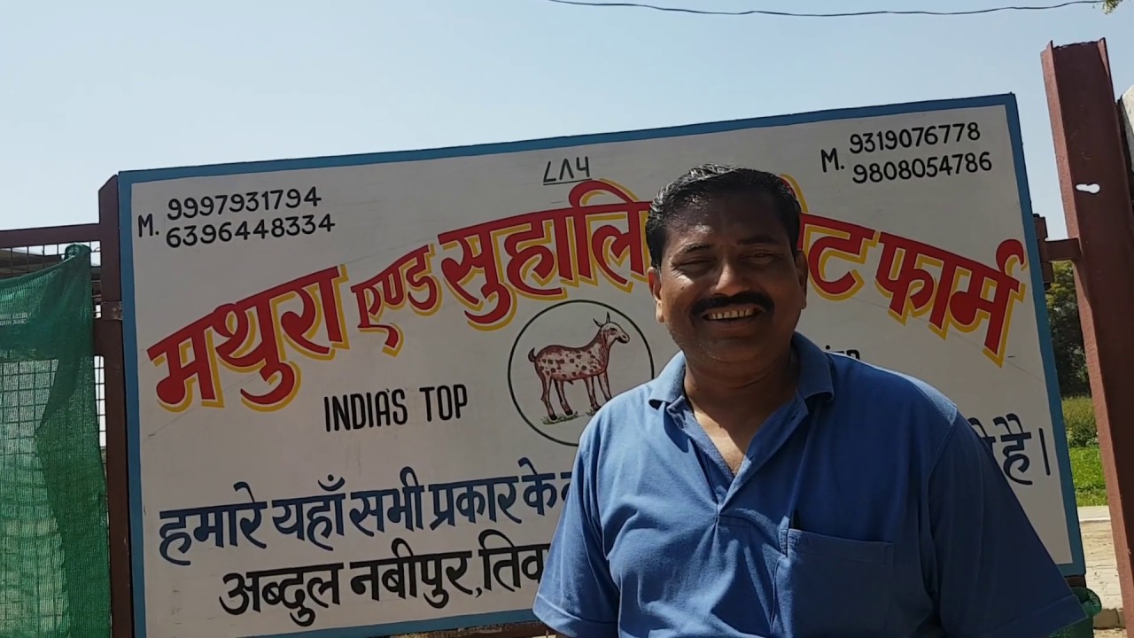 Mathura Goat Farm Ka Tour.