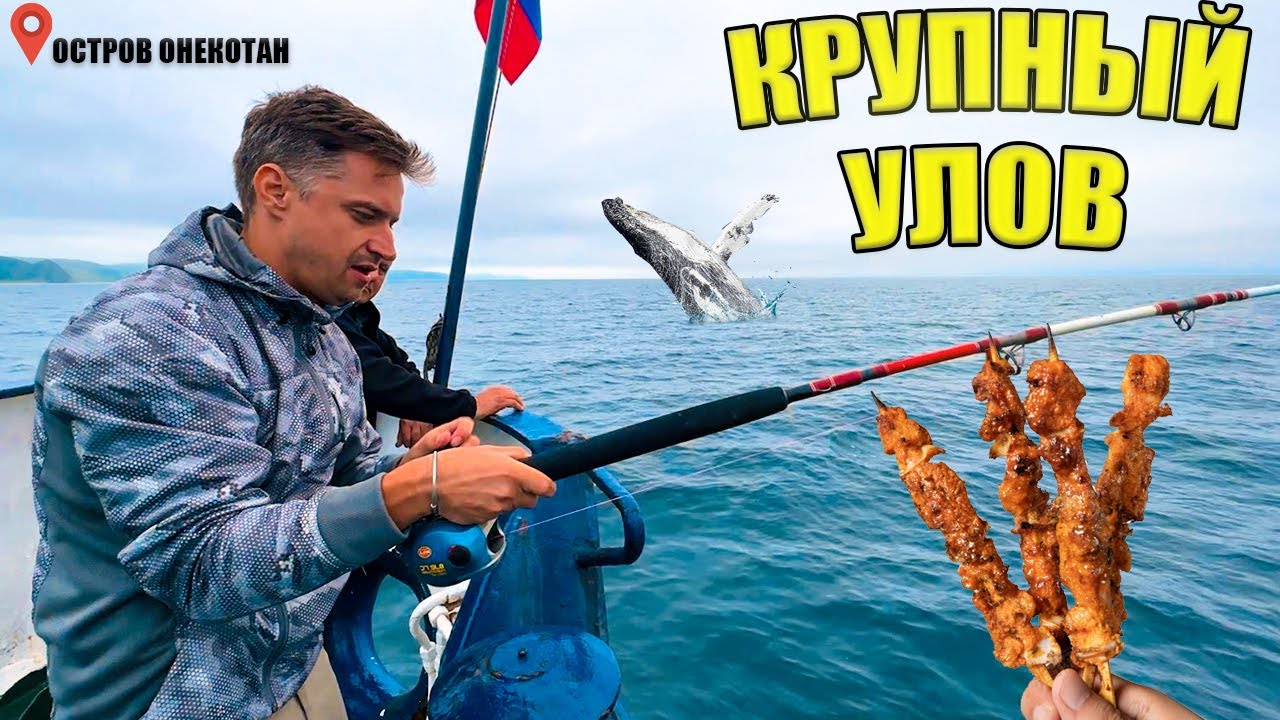 Пугали медведя дроном. Поймали монстра на удочку. Курильские острова Онекотан + Парамушир