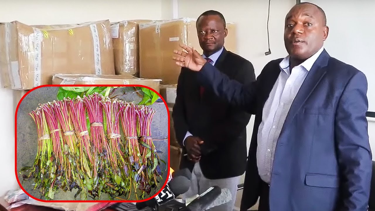 Ofisa Usalama POSTA ADAKWA Kwa TUHUMA Za KUSAFIRISHA DAWA Za Kulevya