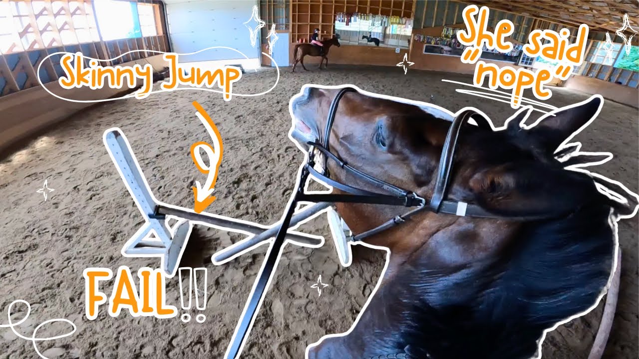 We Attempt Skinny Jumps for the FIRST Time! | Riding Lesson Vlog