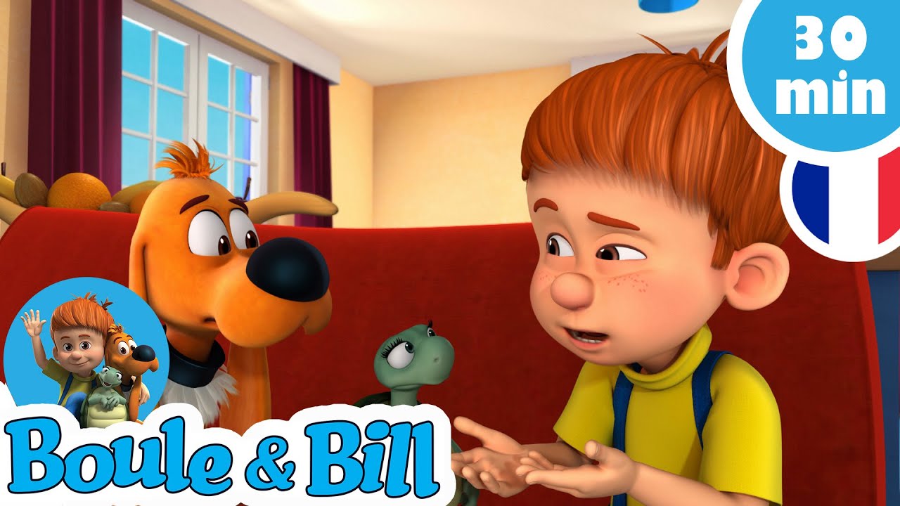 😡Boule et Bill se disputent !😢 - Nouvelle Compilation Boule et Bill FR