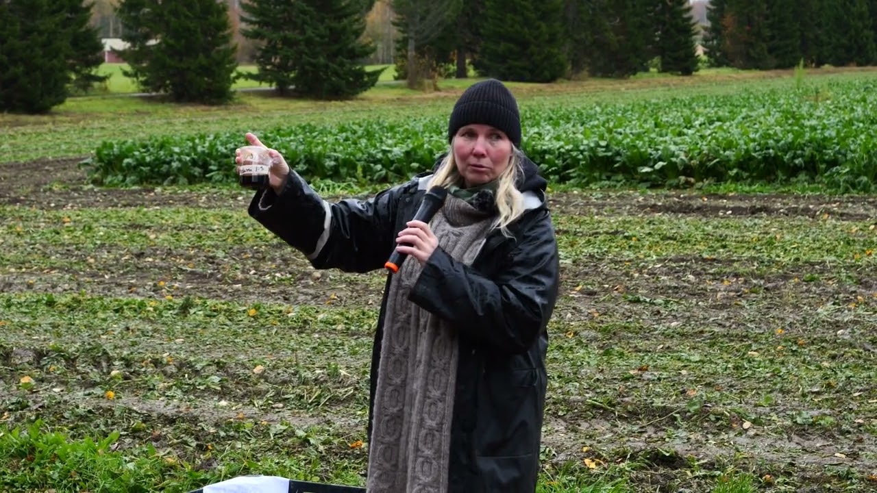 Susanna Muurinen, SjT: Proteiinia juurikaan naatista?