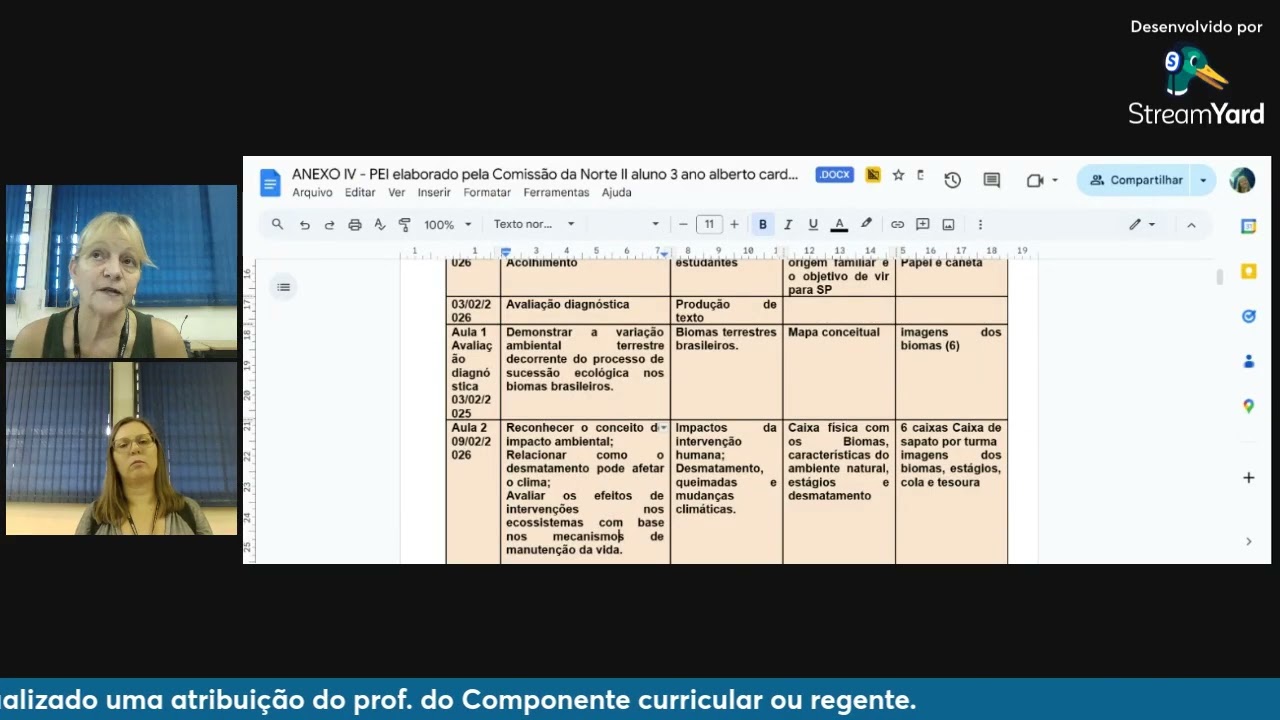PEI   Plano Escolar Individualizado  Componente Curricular e Regente