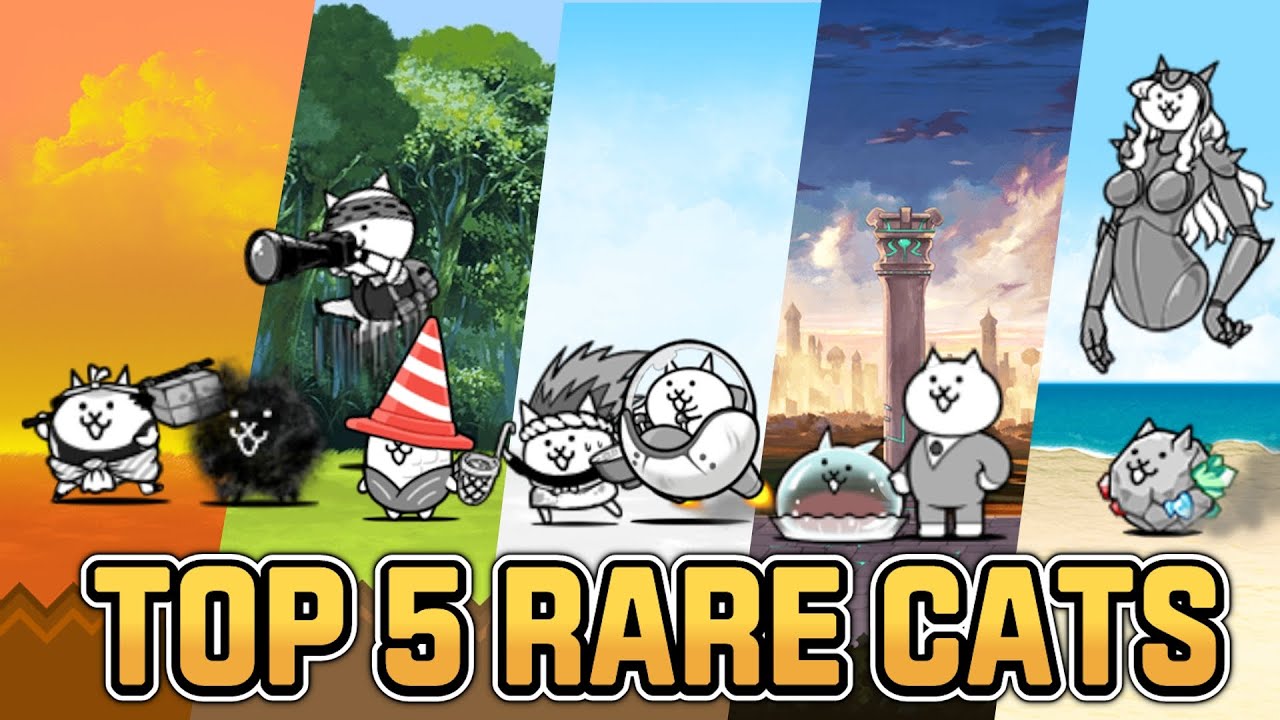 Top 5 Rare cat in The Battle Cats 