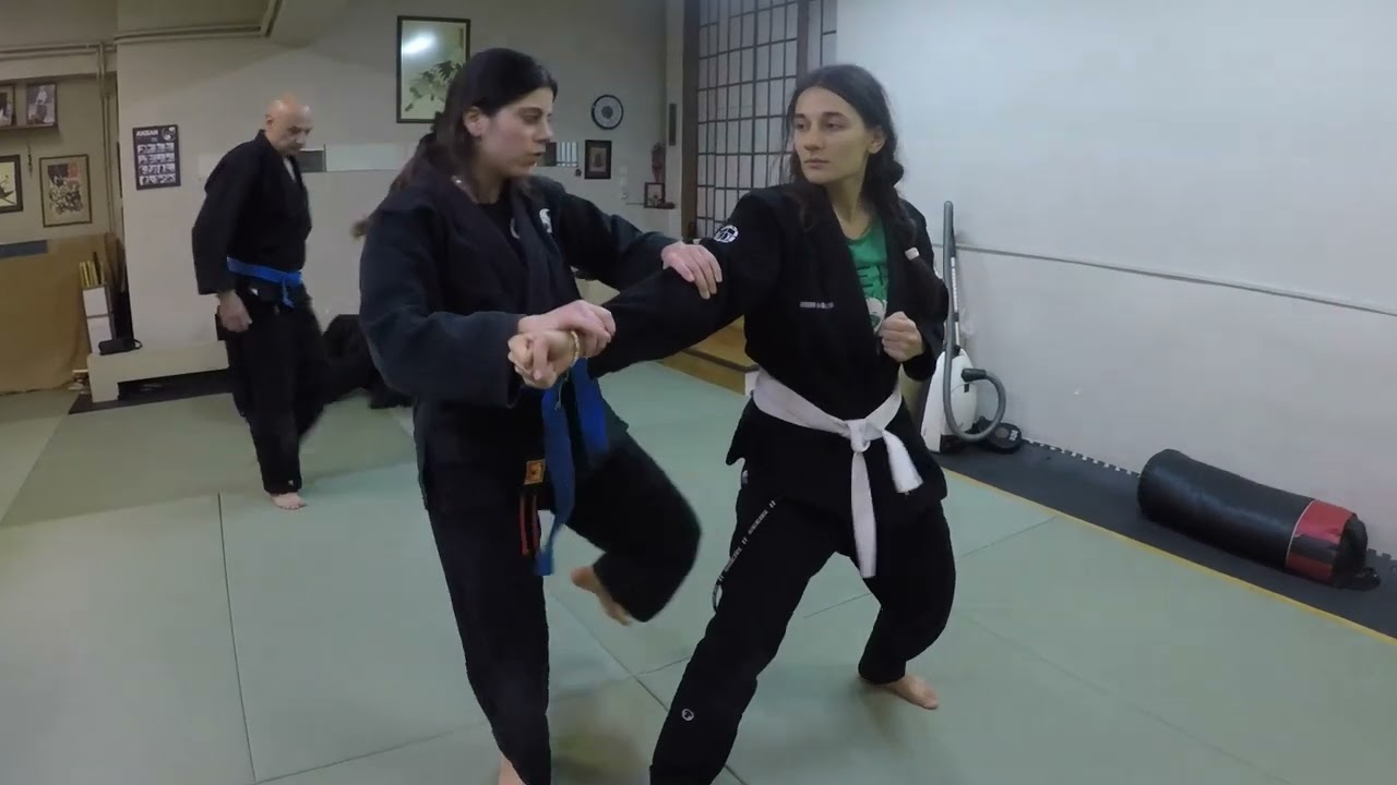 Musha dori,pads training and randori