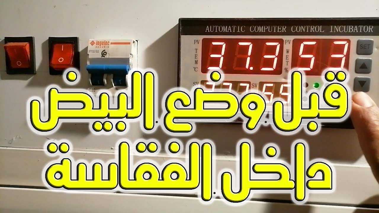 صنع فقاسة أوتوماتيكية - كيف وضعت البيض في الفقاسة (الجزء الثاني)