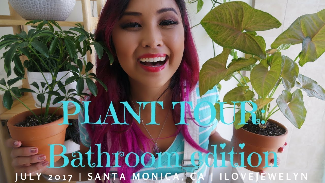 PLANT TOUR: Bathroom edition | July 2017 | ILOVEJEWELYN