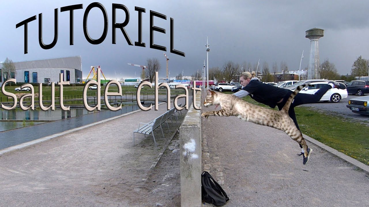 TUTORIEL Saut de chat/ Cat pass l Parkour & Freerunning