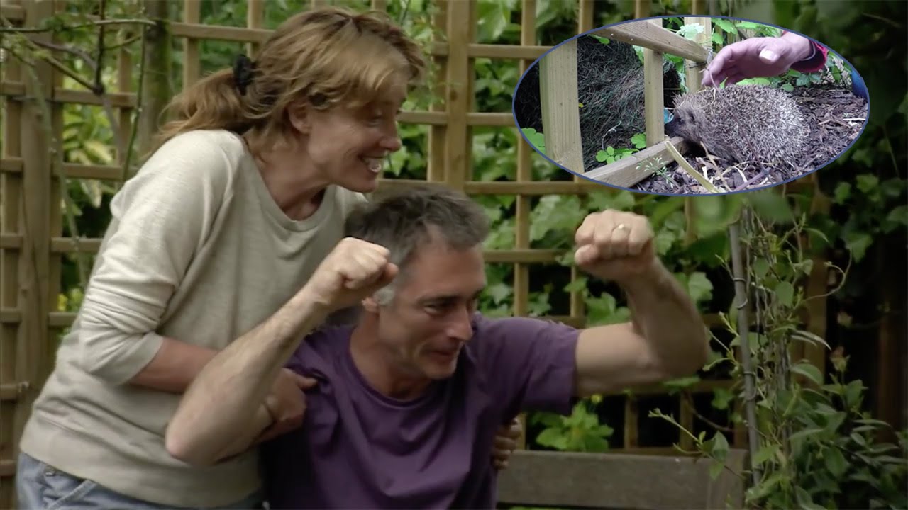 Emma Thompson Backyard Hedgehog Haven