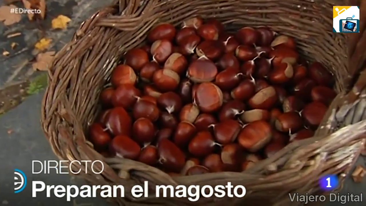 Balboa y las castañas. España Directo. 25/10/16
