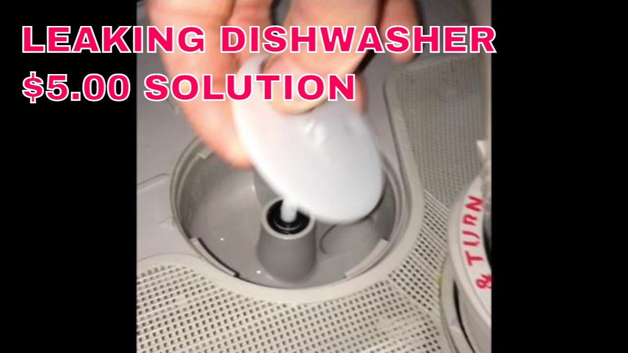 ✨ Leaking Dishwasher - $5.00 Solution - Replace the Seal ✨