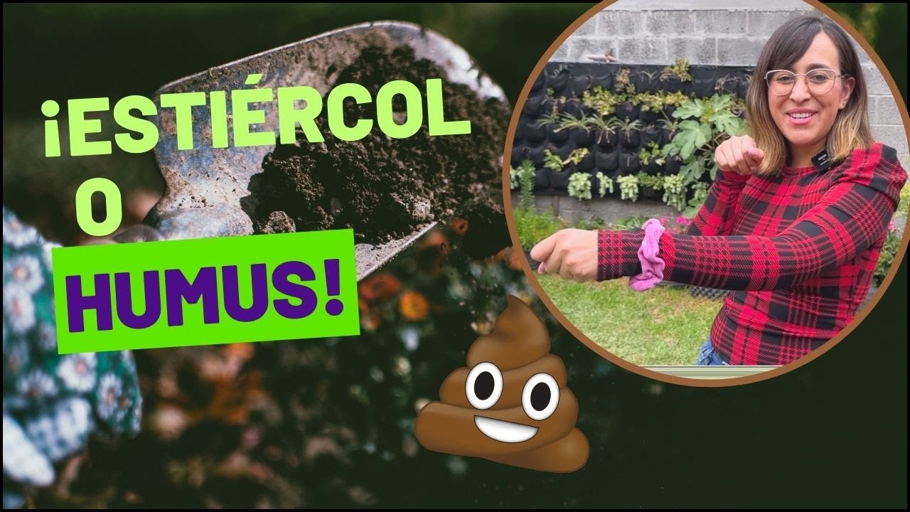 ✅ 7 BENEFICIOS de Usar ESTIERCOL de BORREGO 🪴 ¿MEJOR o PEOR que el Humus?