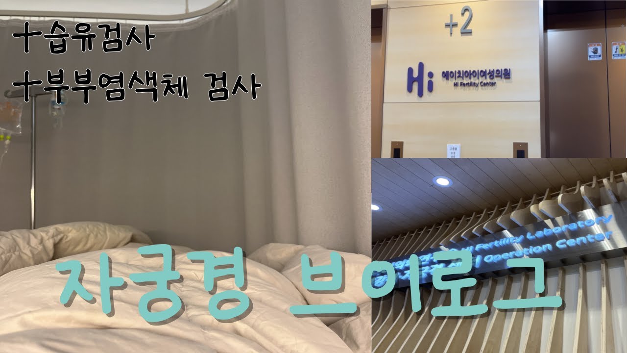 자궁경 브이로그/자궁내시경수술/습유검사/부부염색체 검사/계류유산
