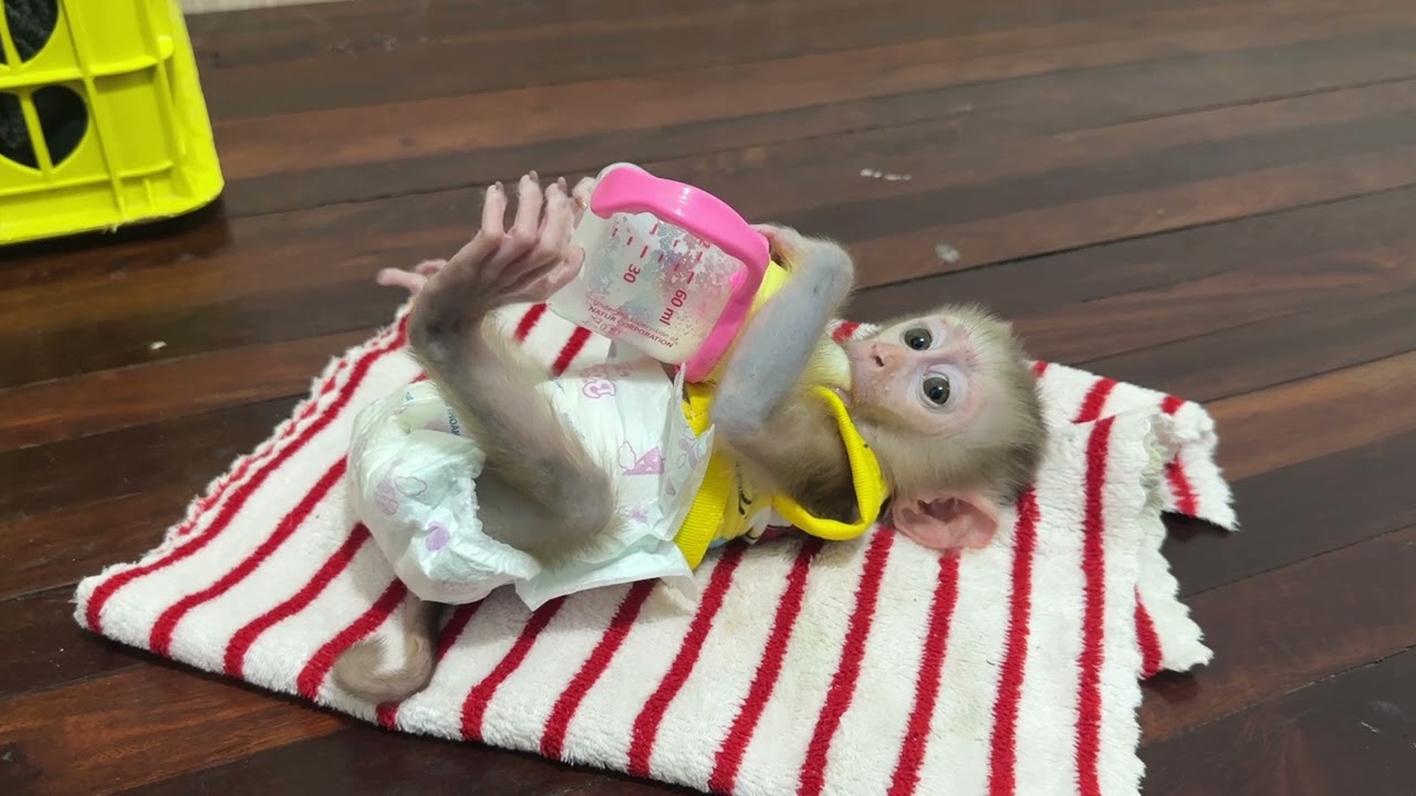 So lovely baby 