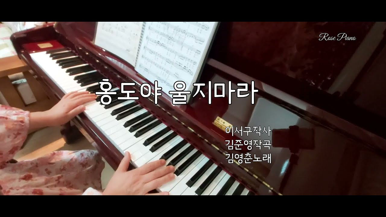 #홍도야 울지마라                                                             #피아노/로즈피아노/전통가요