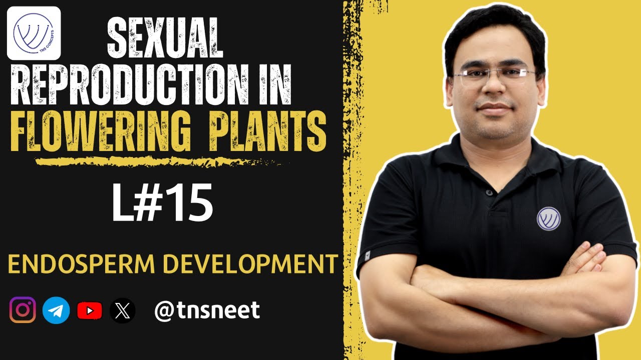 DEVELOPMENT OF ENDOSPERM | SEXUAL REPRODUCTION IN FLOWERING PLANTS CLASS 12 | NEET BIOLOGY | TNSNEET