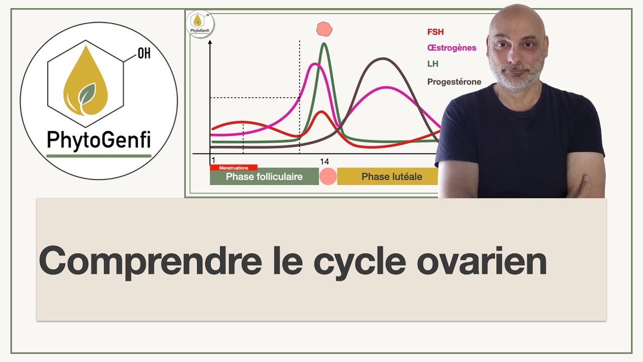 Comprendre le cycle ovarien