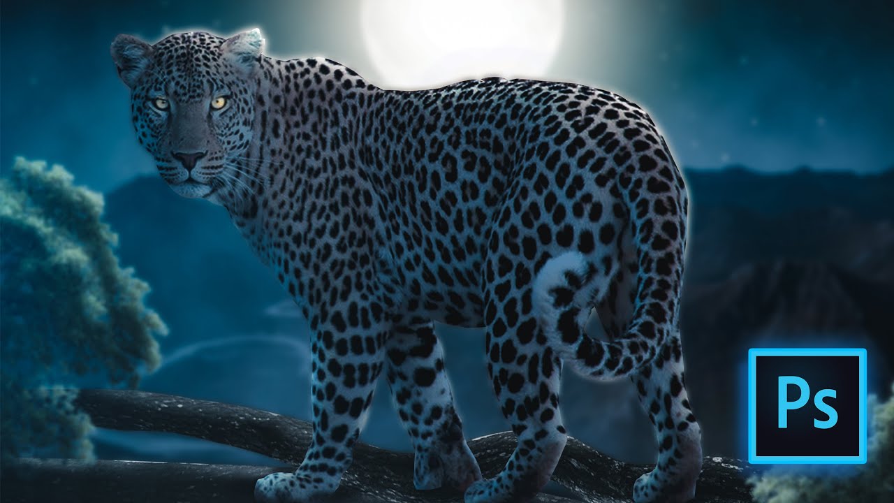 HOW TO MAKE A POSTER OF A LEOPARD? | PHOTOSHOP TUTORIAL