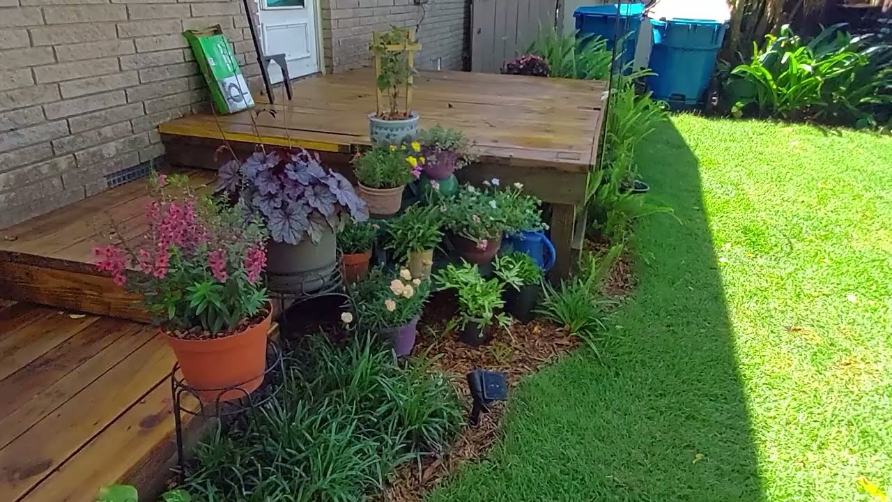 Palisades Zoysia backyard remodeling. The Final Result!