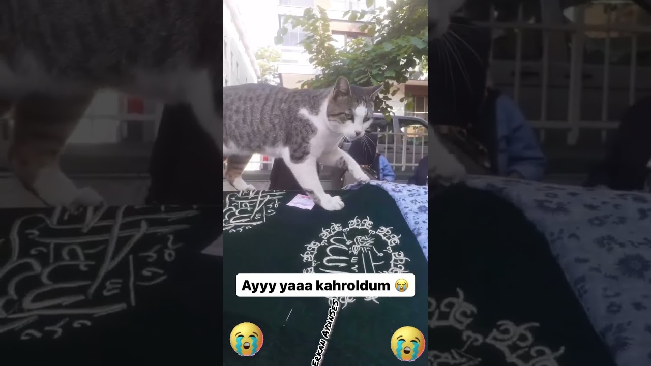 27 Mayıs 2024