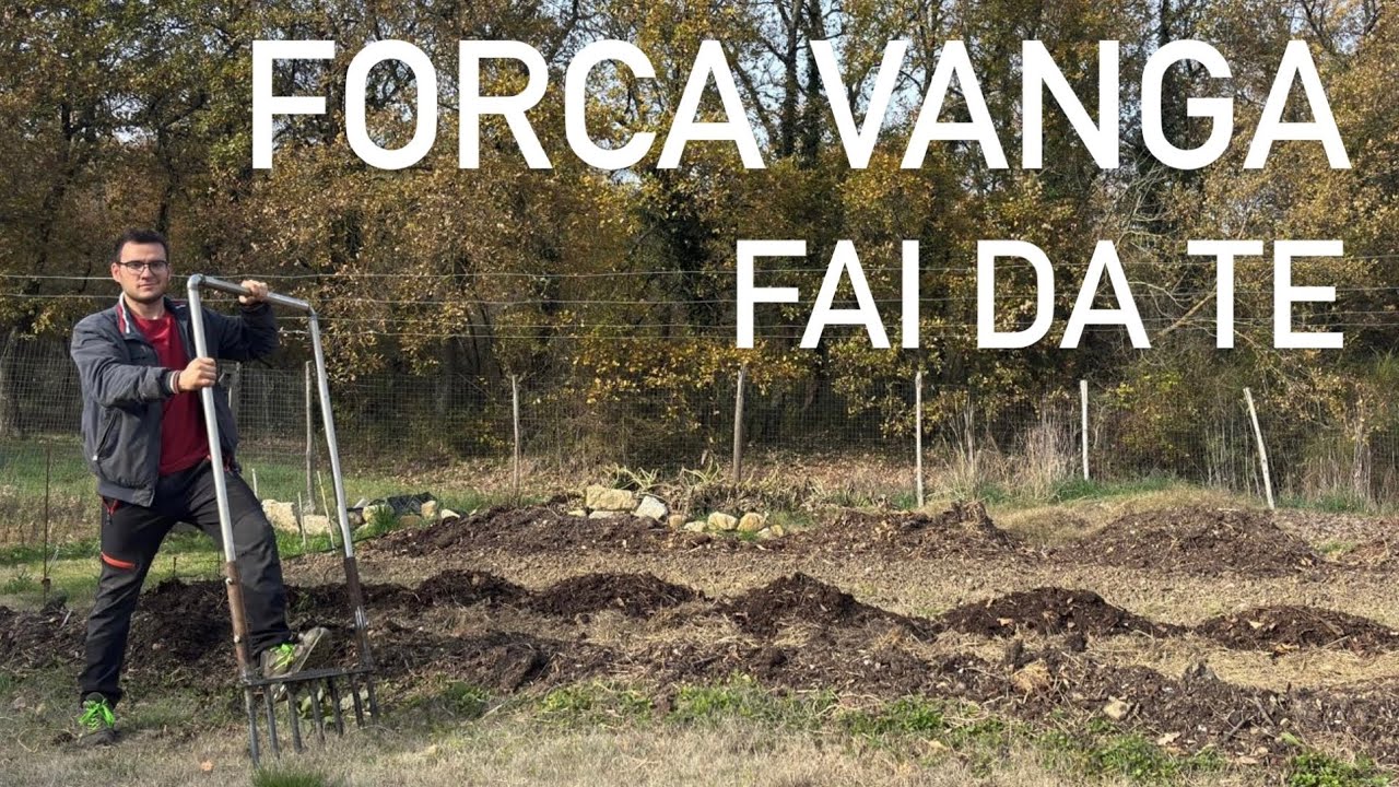 • FORCA VANGA FAI DA TE