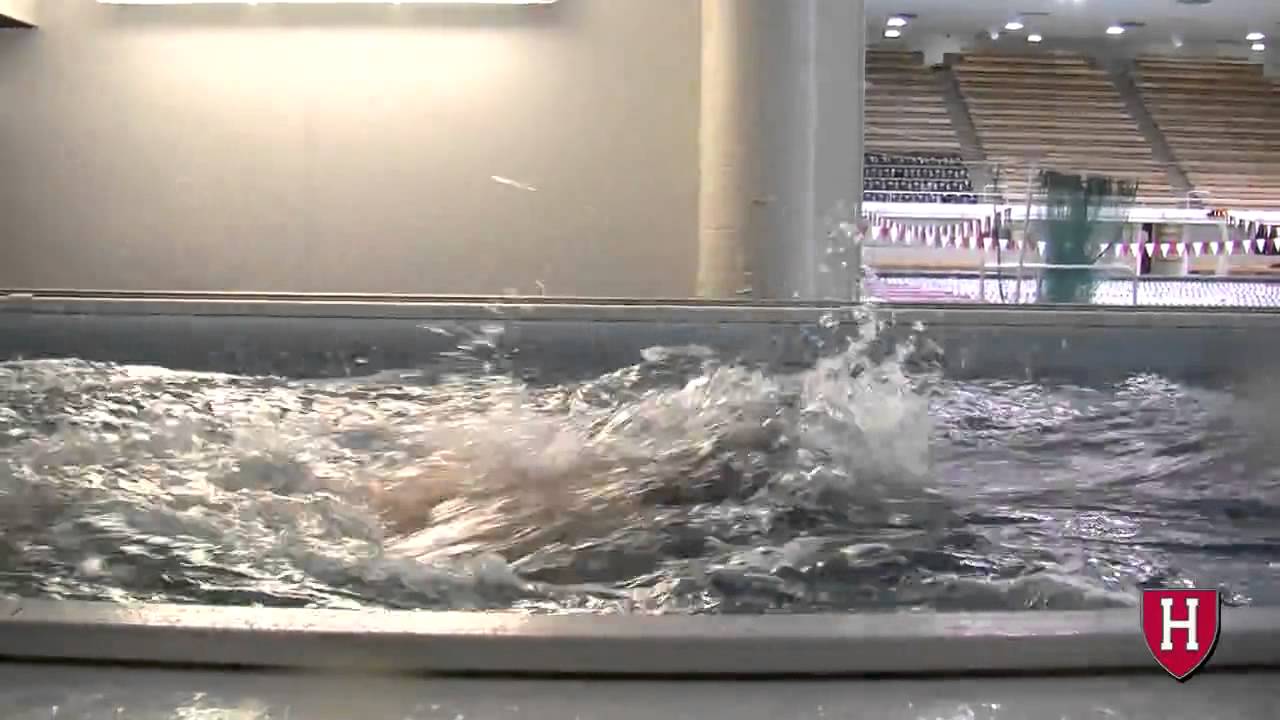 Harvard Mens Swimming Training in an Elite Endless Pool