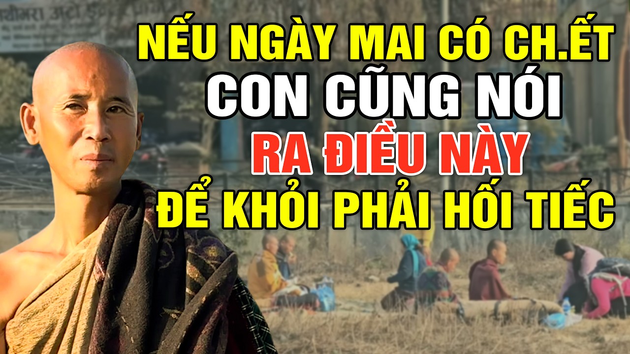Nếu Ngày Mai Con Có C.h.ế.t, Cũng Nói Điều Này Ra Để Con Khỏi Phải Hối T.iếc | Thầy Minh Tuệ Bộ Hành