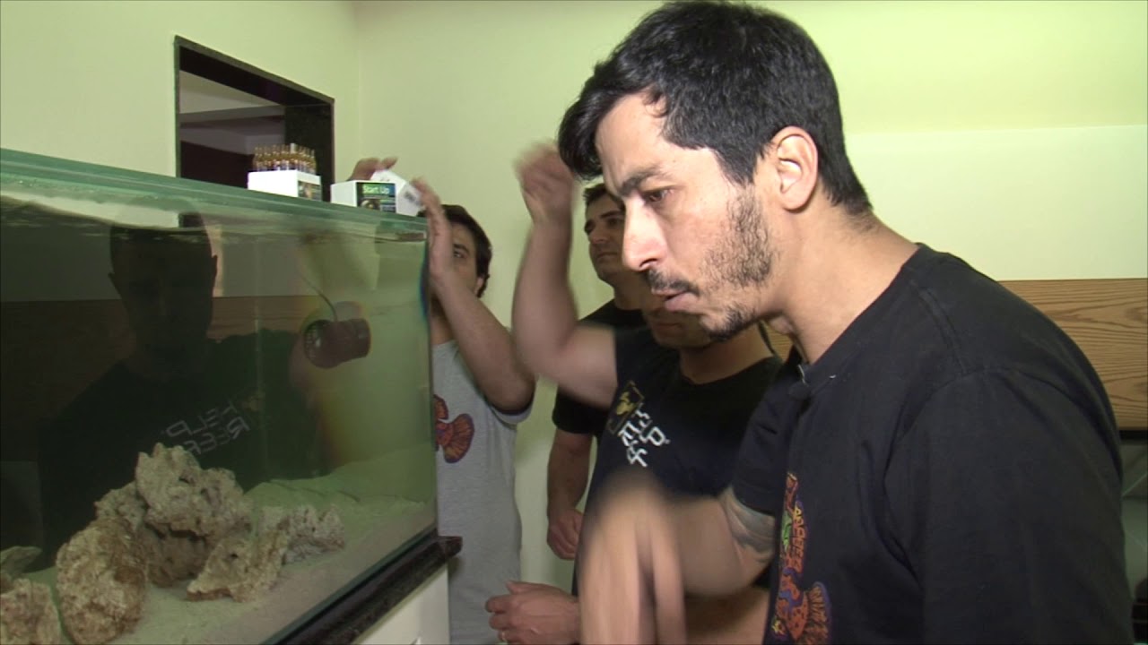 Help Reef na sua casa: Juiz de Fora