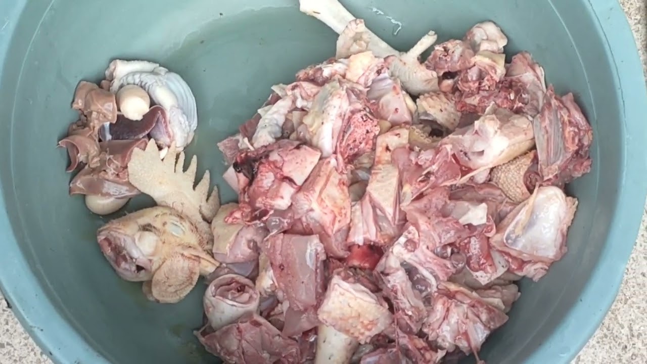 Kamu terlalu pecundang hingga pada akhirnya berakhir dipanciku 🤤 #masakanrumahan #masakayam #ayam