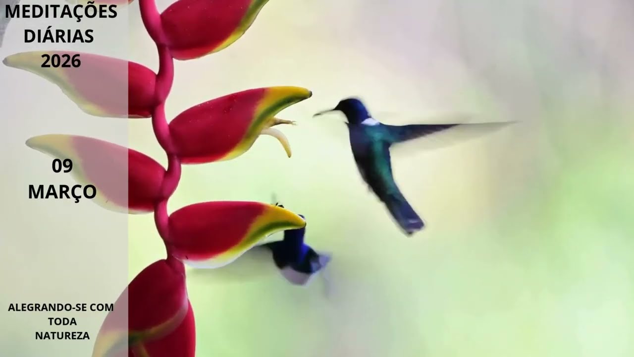 09.03 ALEGRANDO-SE COM  TODA NATUREZA : Meditações Diárias 2026-09 Março [Por Klaudine Milani]