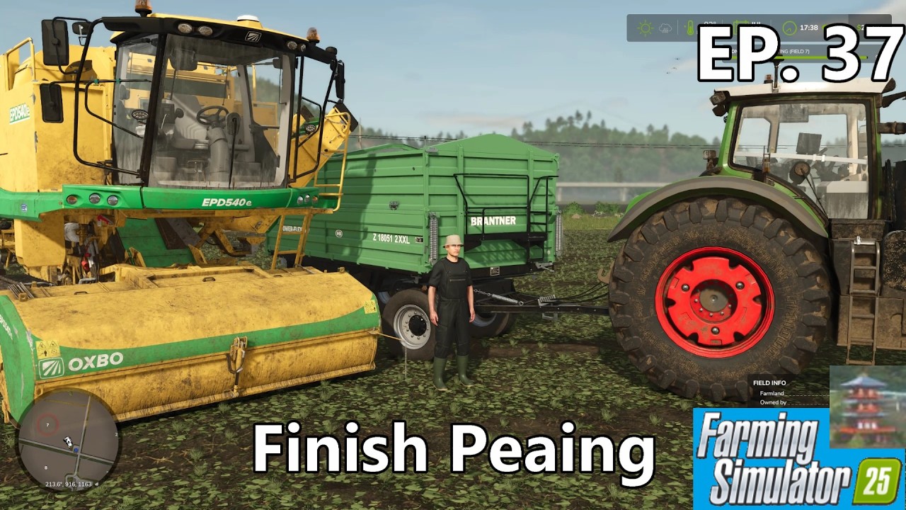 FS25 Hutan Pantai - ep37 - Finish Peaing and picking bales.