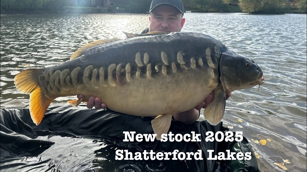 Новые поставки для пополнения наших рыболовных озёр! - Shatterford Lakes