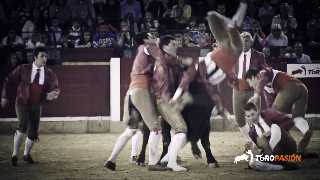 Emoción al límite en Zaragoza 2016 - Toropasión