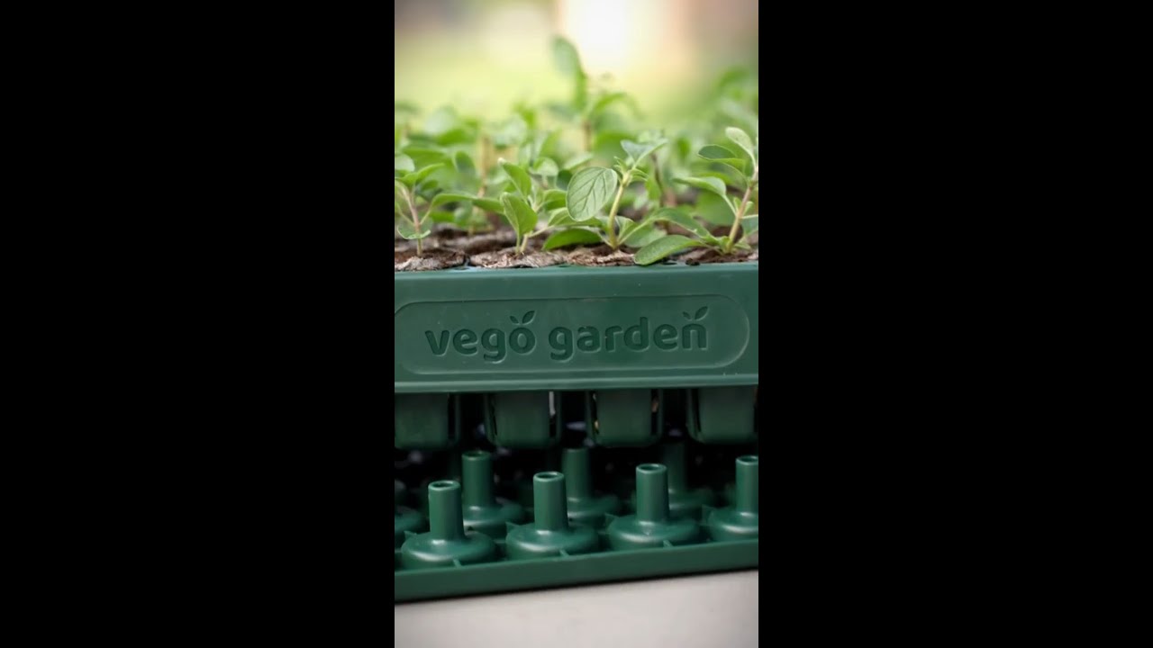 3-In-1 Plant 'n' Pop Board - Makes Gardening Easier! 🤩