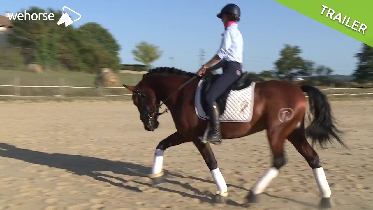 Gebisslos Reiten: So geht es! | Alizée Froment