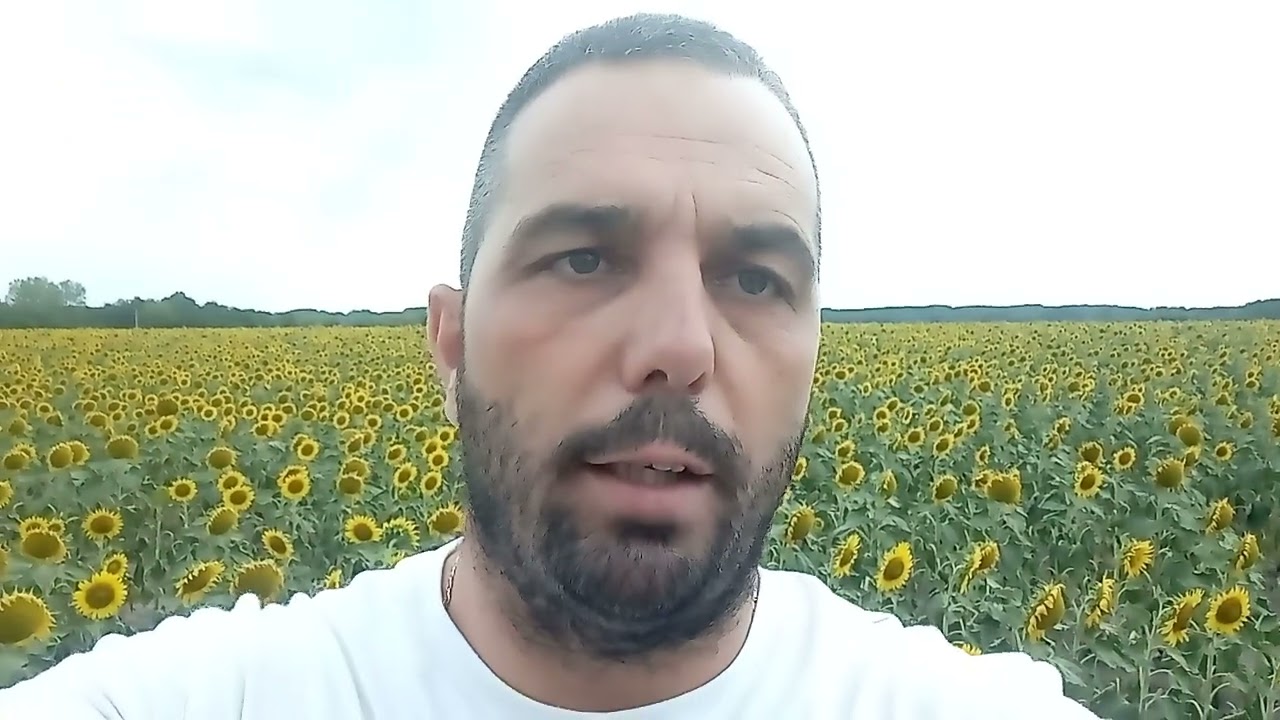 Így sikerült a napraforgó méztermés Csongrádban.