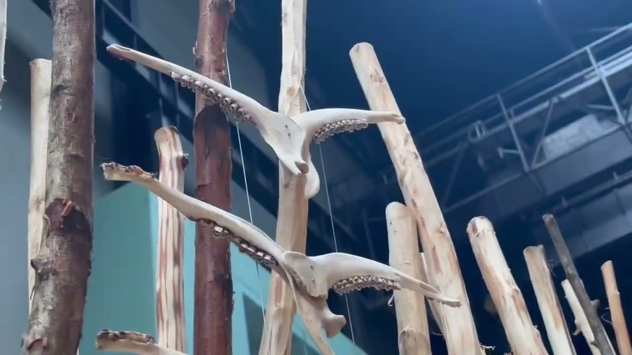 Máret Ánne Sara at Tate Modern | Turbine Hall Installation (Walkthrough)
