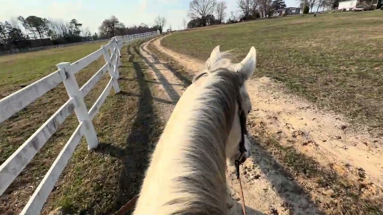 Riding Ruth Part 2