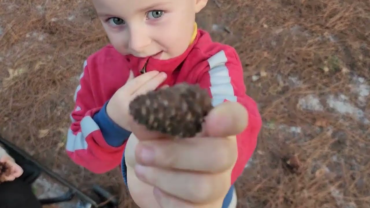 👉 Big Family Road Trip | Mississippi to Alabama’s Gulf State Park