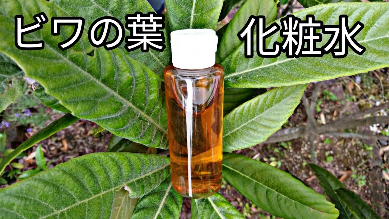 びわの葉【化粧水】作り方
