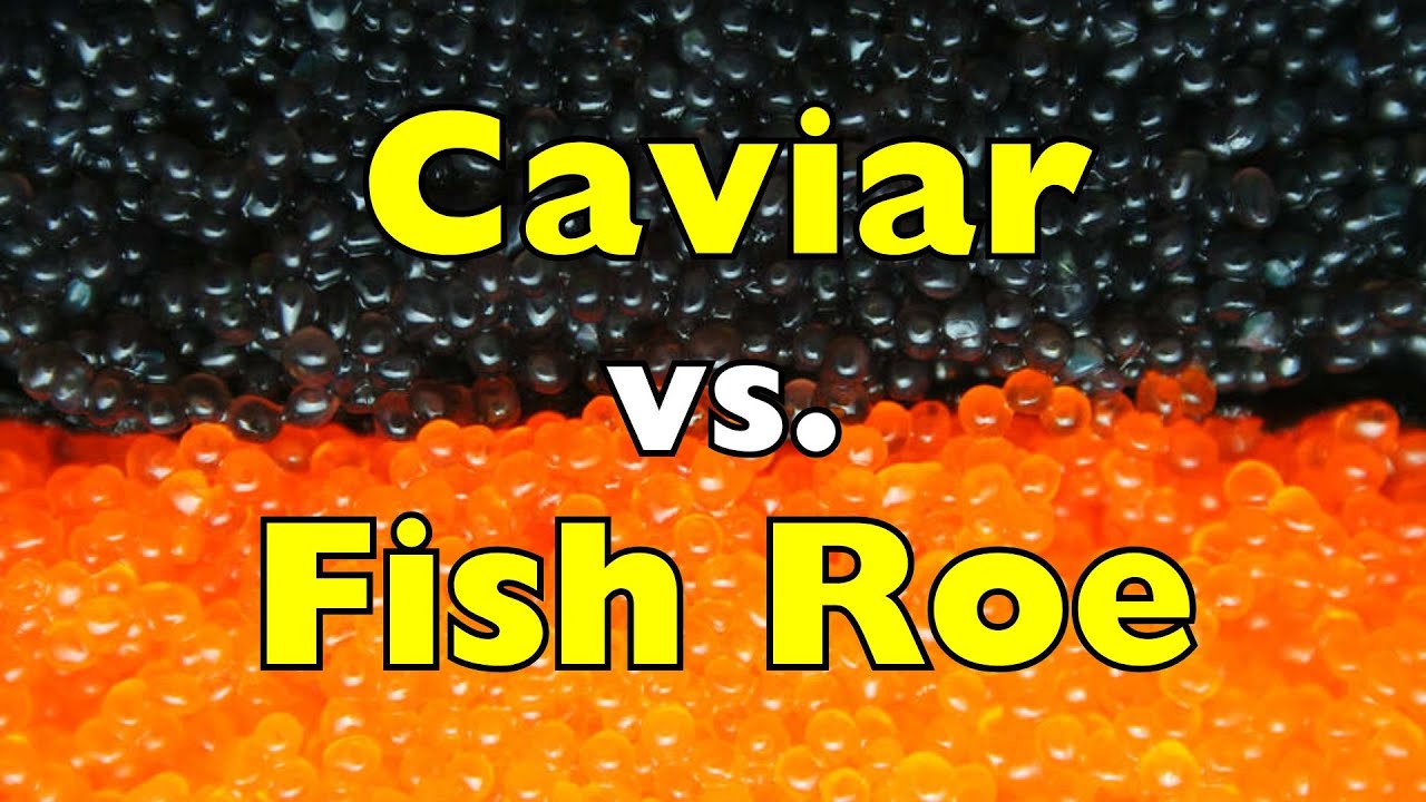 Икра или икра рыбы: почему они такие дорогие?