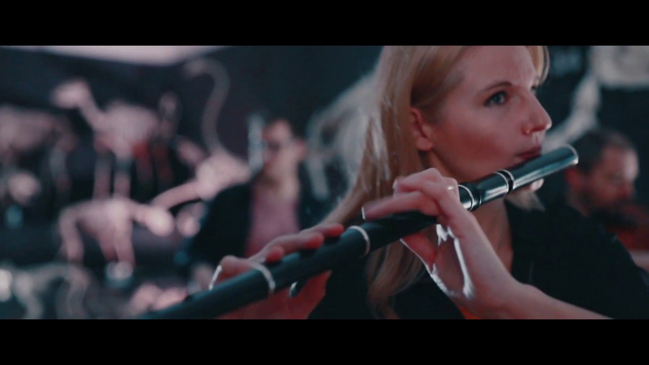 WOODEN LEGS - Big Beaver (Official video)