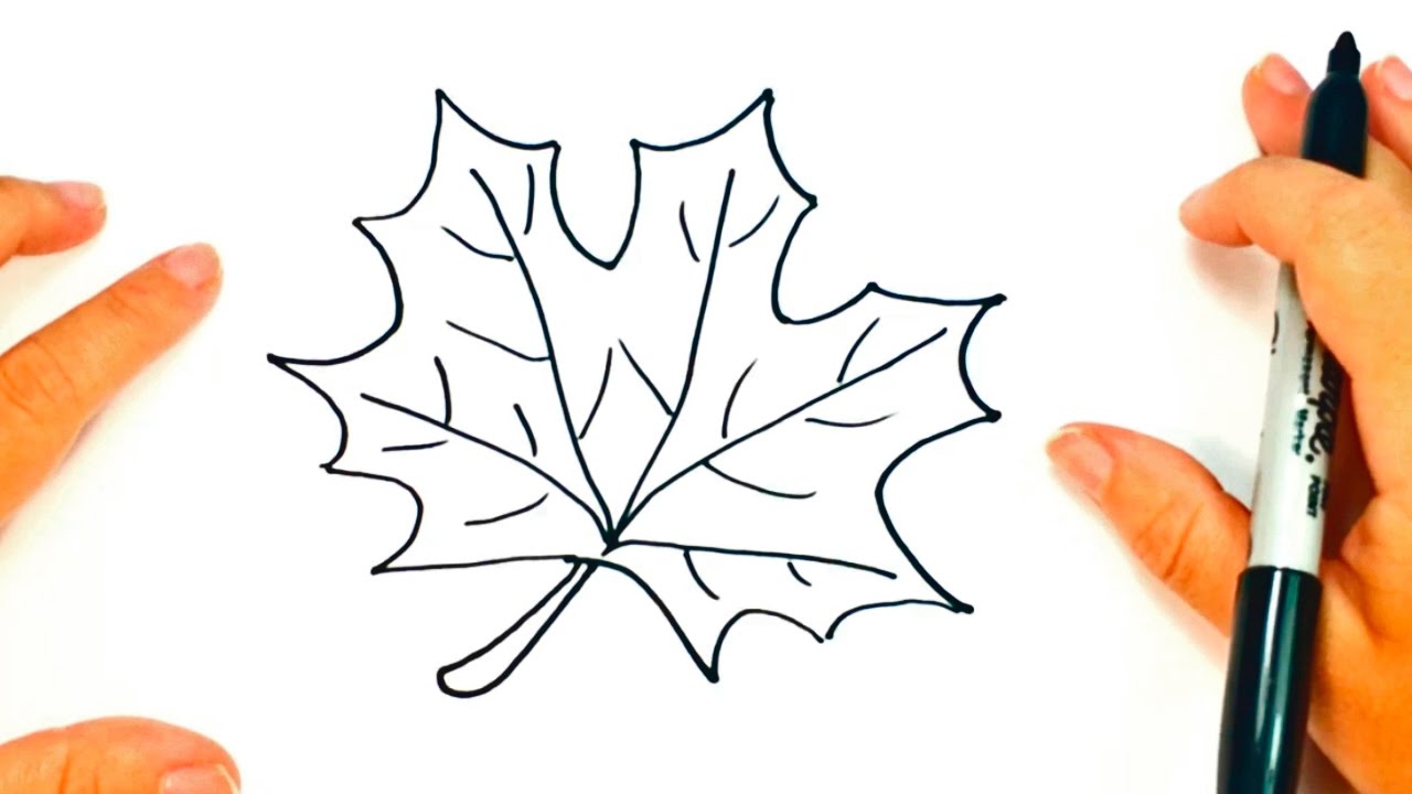 How to draw a Autumn Leaf | Autumn Leaf Easy Draw Tutorial