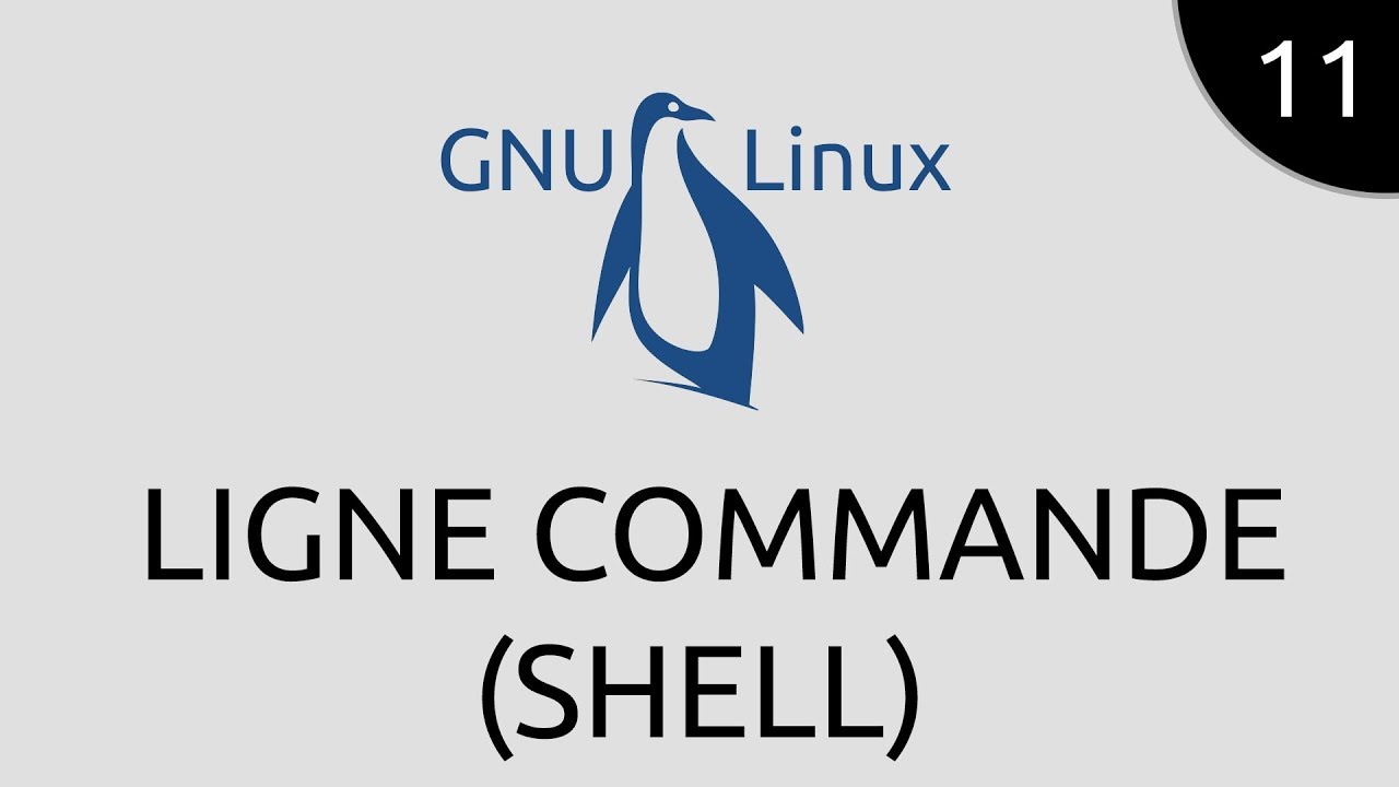 GNU/Linux #11 - ligne commande (shell)