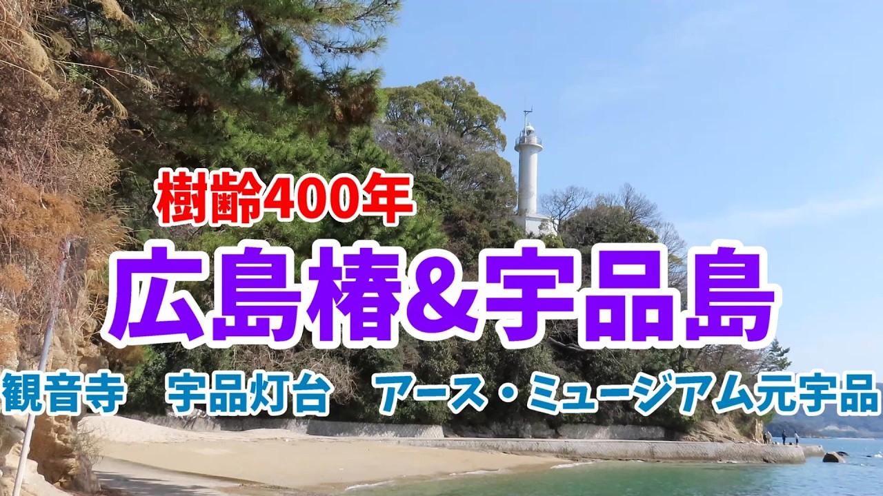 樹齢400年の広島椿＆宇品島　【元宇品の観音寺、宇品灯台、アース・ミュージアム元宇品、浅野長晟と振姫の歴史】　#心霊スポット 　#歴史　#地質