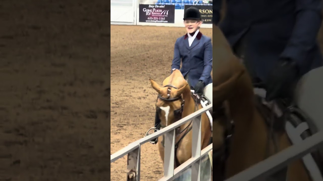 7 was a literal DREAM for pleasure class today!! But don&rsquo;t ask about eq&hellip; I also get to show him tmr!