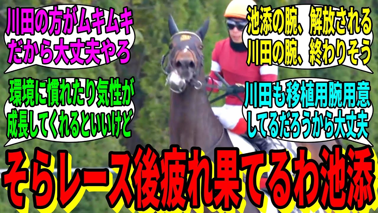 【競馬の反応集】「池添の腕、解放される」に対する視聴者の反応集