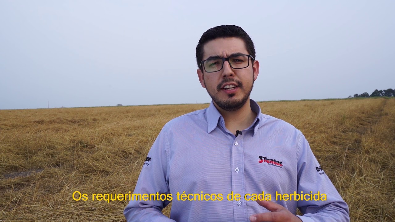 Desseca&ccedil;&atilde;o e uso de herbicidas pr&eacute;-emergentes